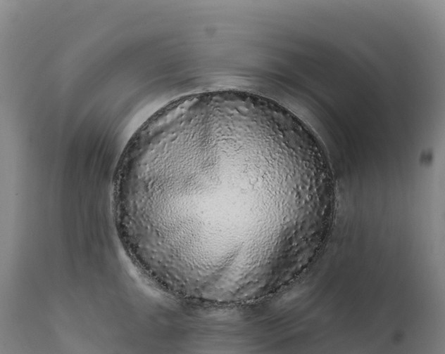 X0000112421047200908281834