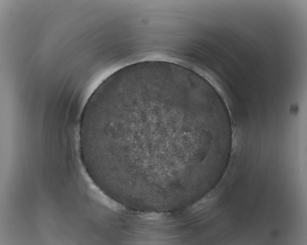 X0000112421048200908281834