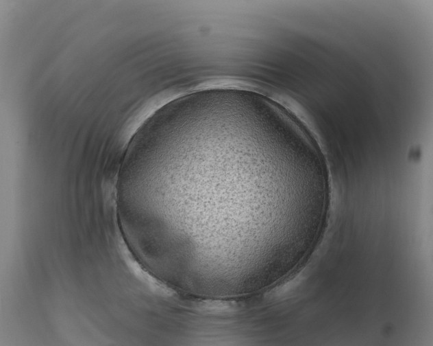 X0000112421049200908281834