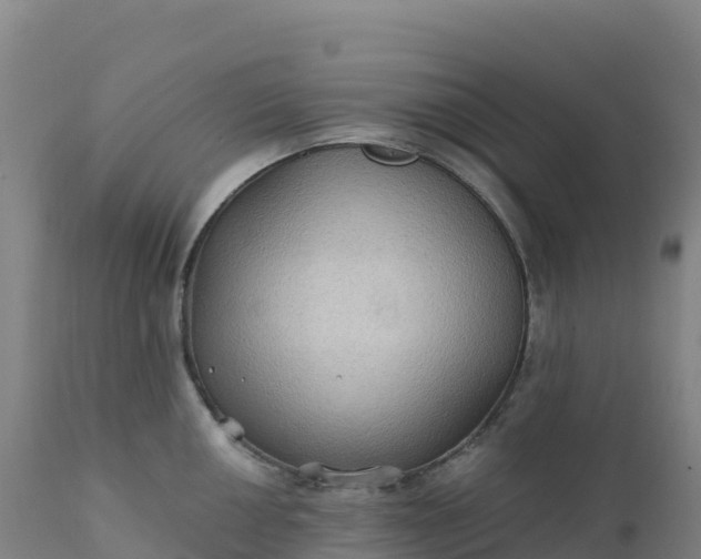 X0000112421050200908281834