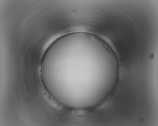 X0000112421051200908281834