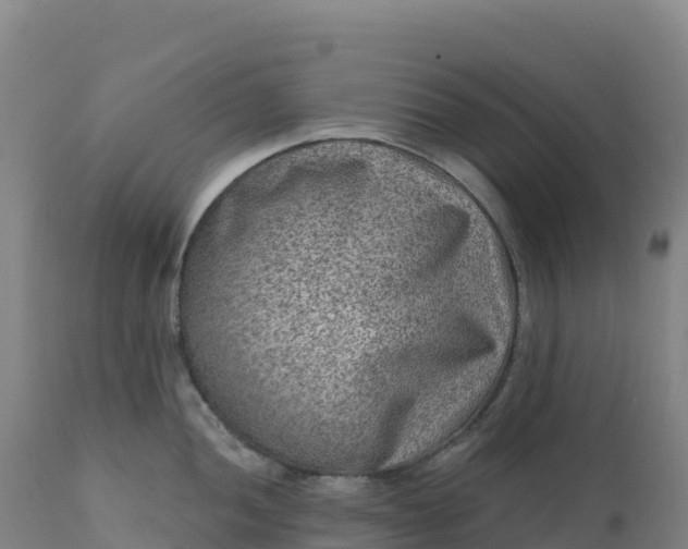 X0000112421052200908281834