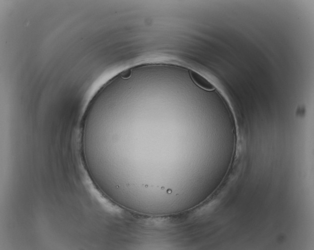 X0000112421053200908281834