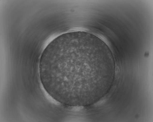 X0000112421055200908281834