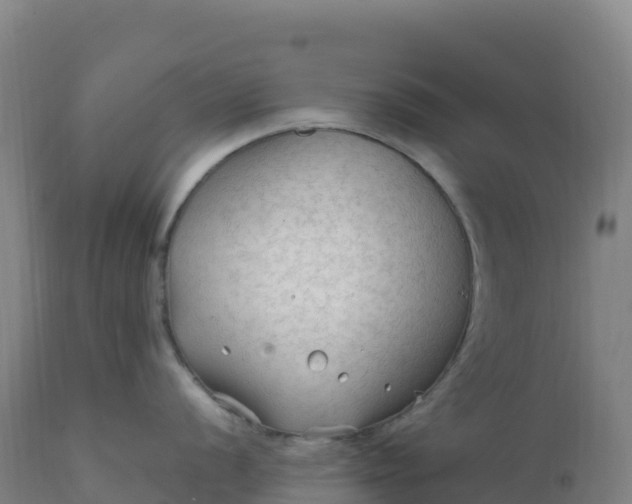 X0000112421056200908281834