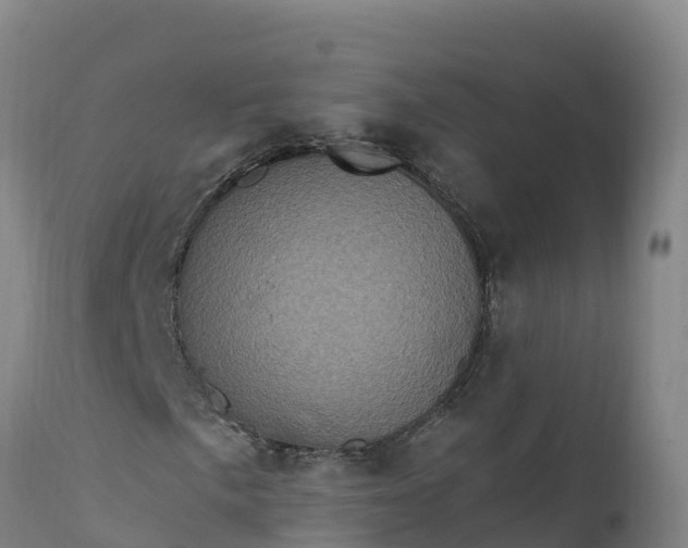 X0000112421057200908281833