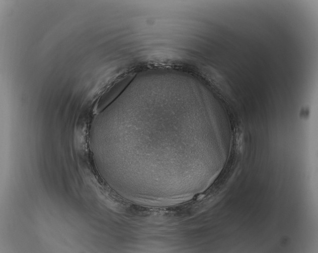 X0000112421060200908281833