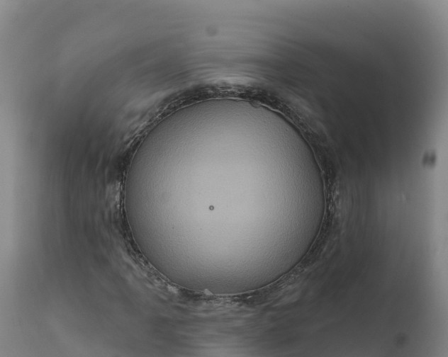 X0000112421061200908281833