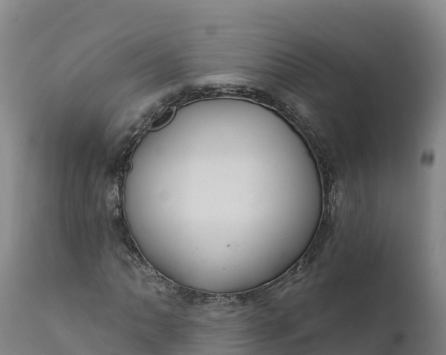 X0000112421062200908281833