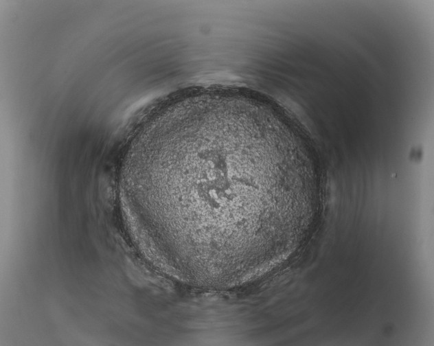 X0000112421063200908281833