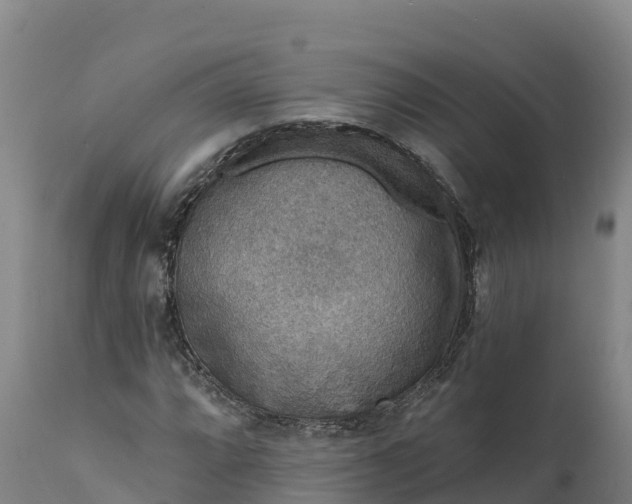 X0000112421064200908281833