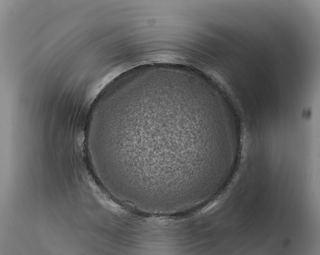 X0000112421065200908281833