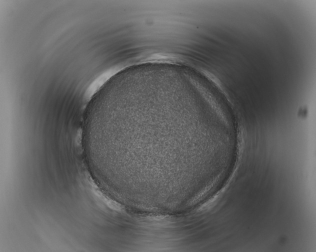 X0000112421066200908281833