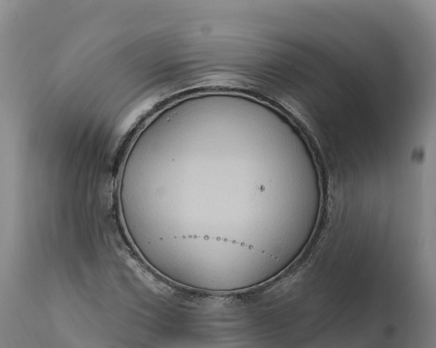 X0000112421067200908281833