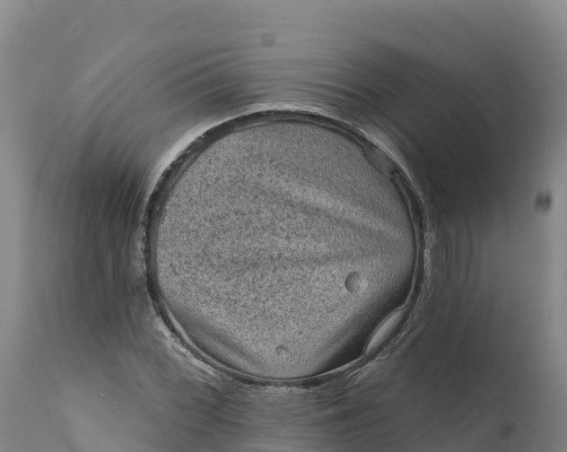 X0000112421068200908281833