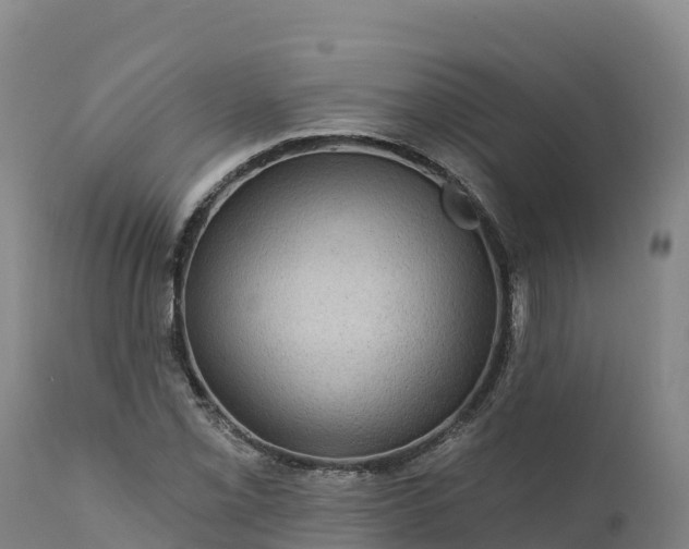 X0000112421069200908281833