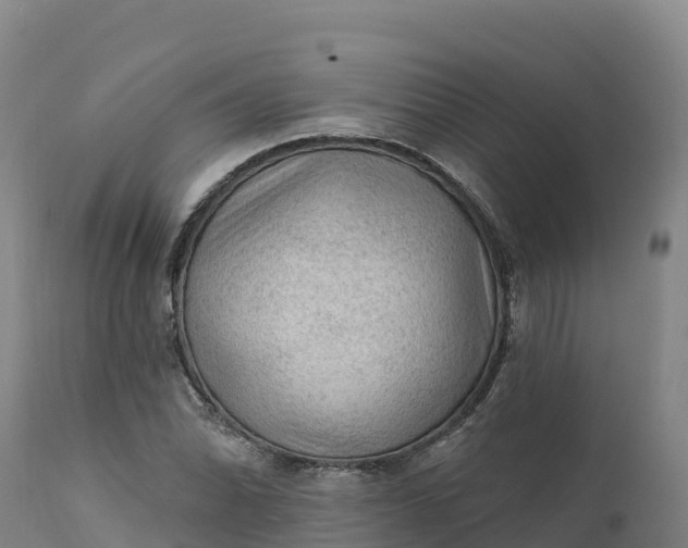 X0000112421070200908281833