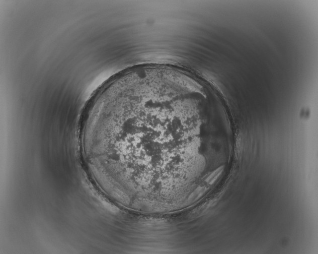 X0000112421071200908281833