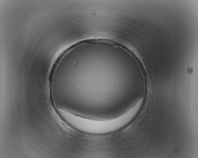 X0000112421072200908281833