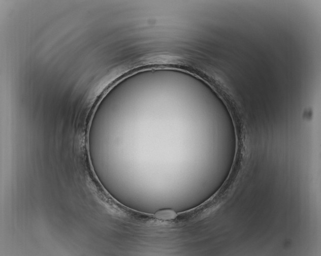 X0000112421073200908281833