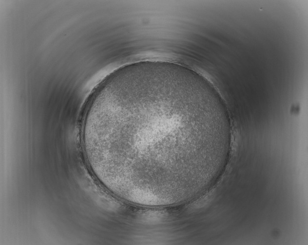 X0000112421074200908281833