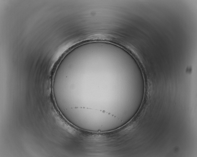 X0000112421075200908281833