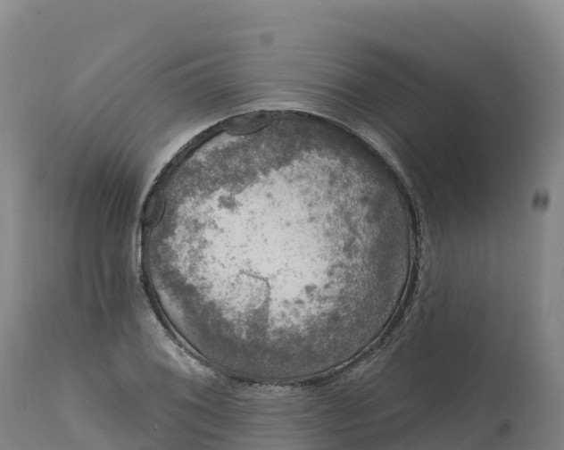 X0000112421076200908281833