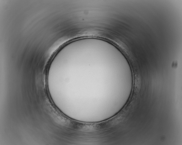 X0000112421078200908281833