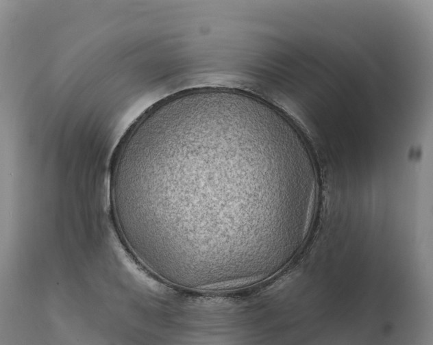 X0000112421079200908281833