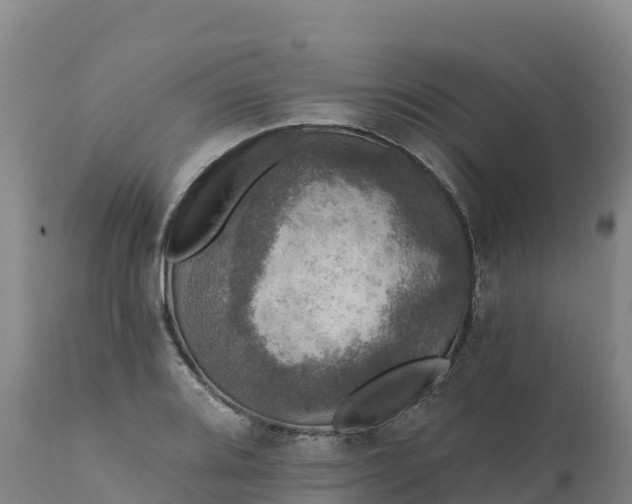 X0000112421080200908281833