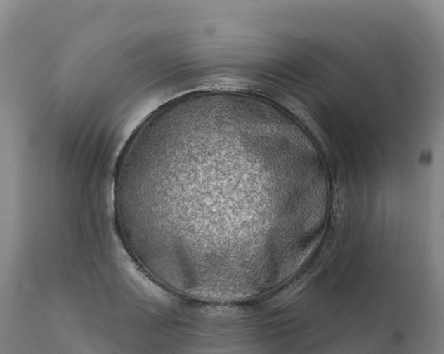 X0000112421083200908281833