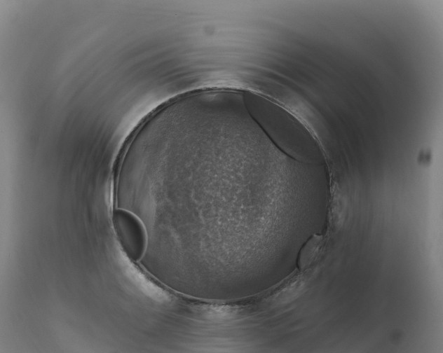 X0000112421084200908281833