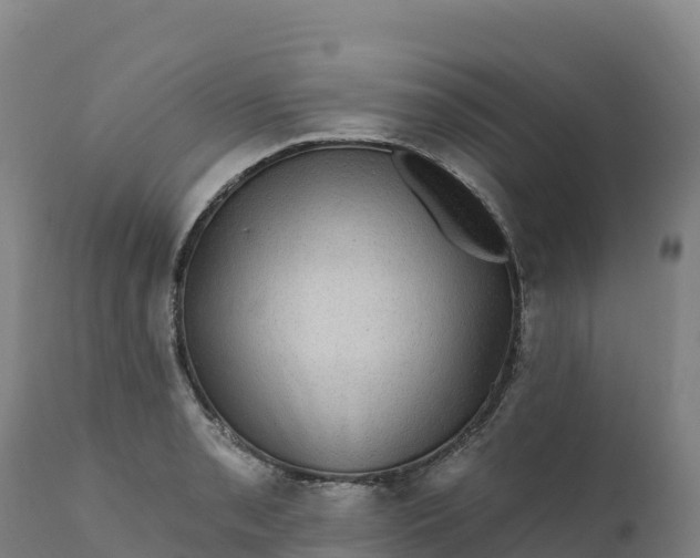 X0000112421085200908281833