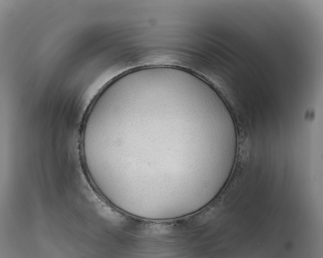 X0000112421086200908281833