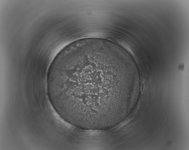 X0000112421087200908281833