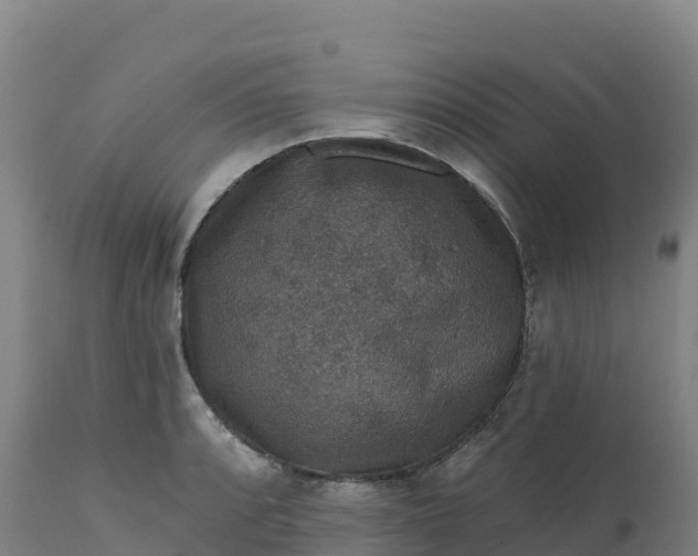 X0000112421088200908281833