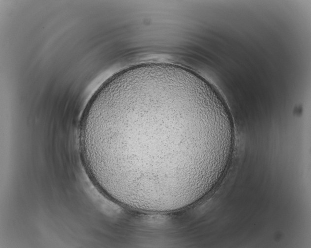 X0000112421090200908281833