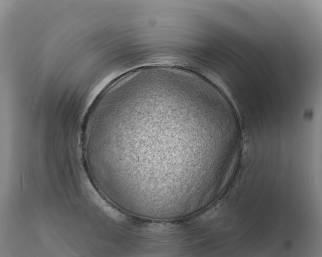 X0000112421091200908281833