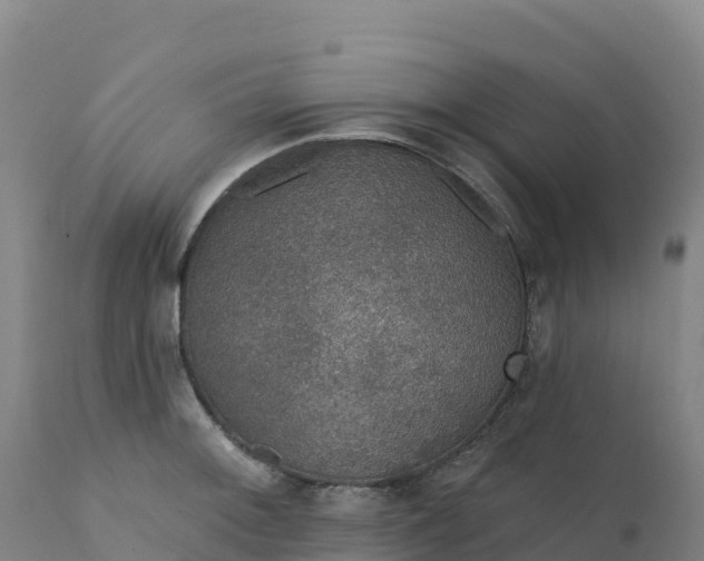 X0000112421092200908281833