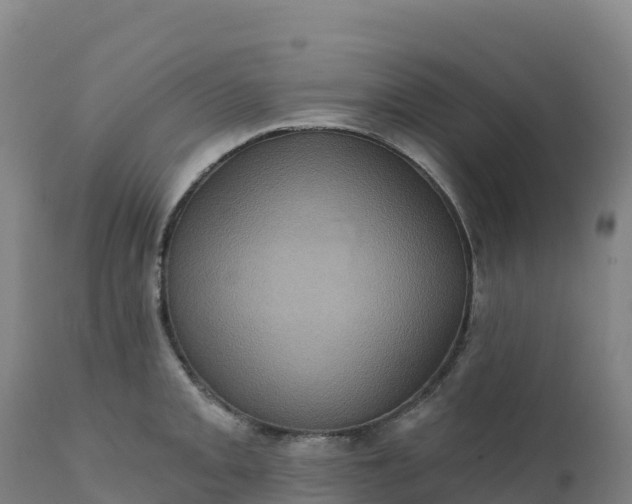 X0000112421093200908281833