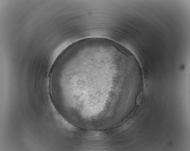 X0000112421096200908281833