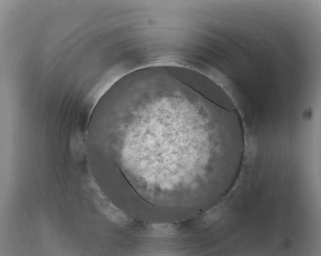 X0000112421097200908281832