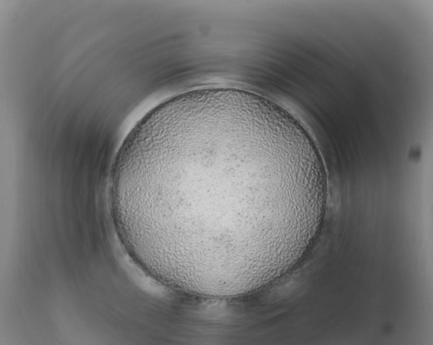 X0000112421098200908281832