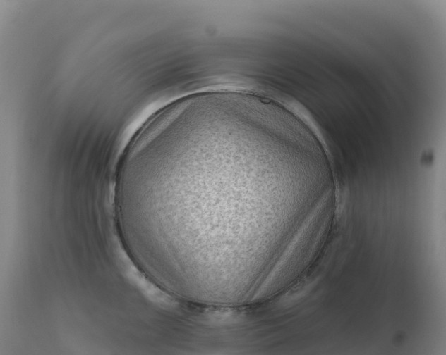 X0000112421099200908281832