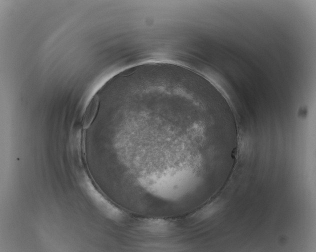 X0000112421100200908281832