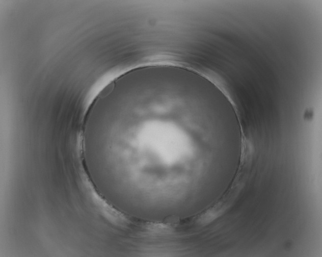 X0000112421101200908281832