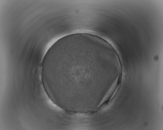 X0000112421102200908281832