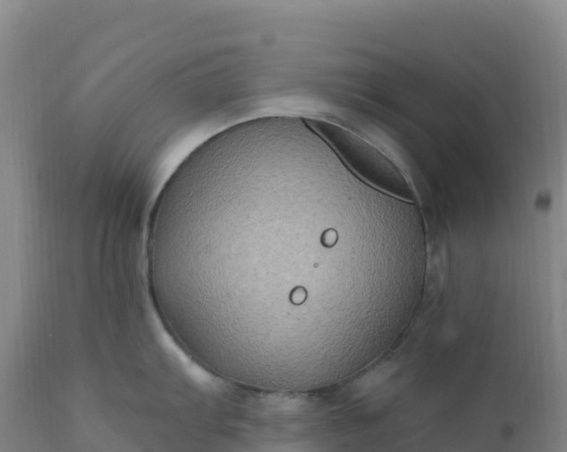 X0000112421103200908281832