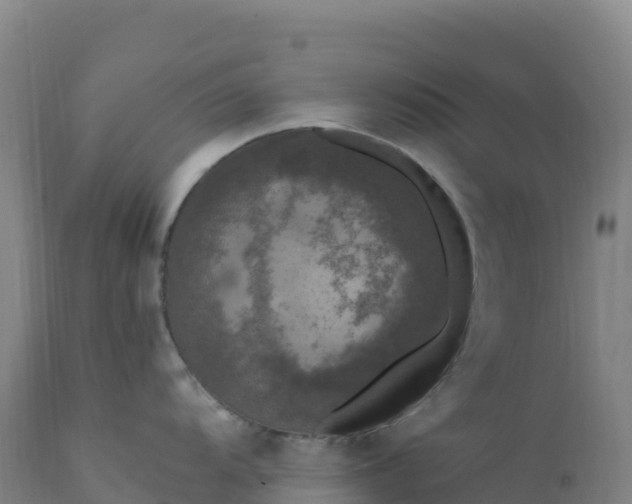 X0000112421104200908281832