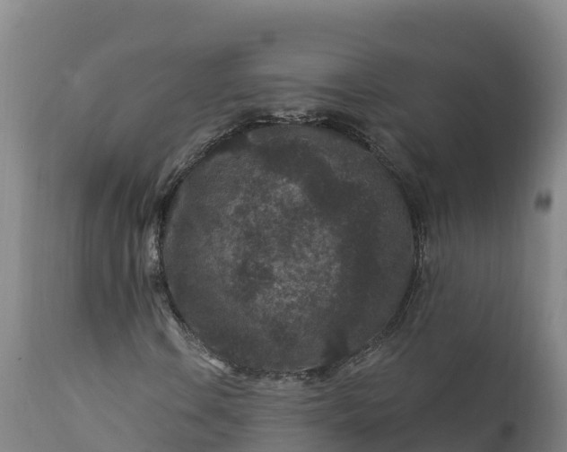 X0000112421106200908281832